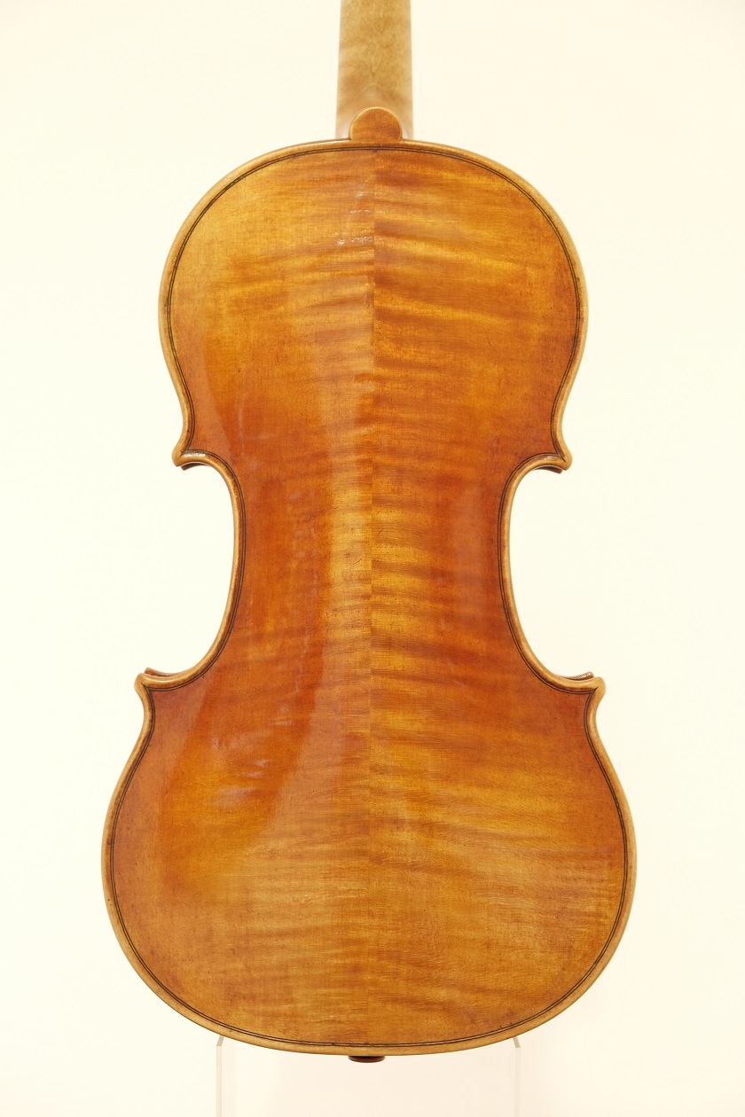 violin back