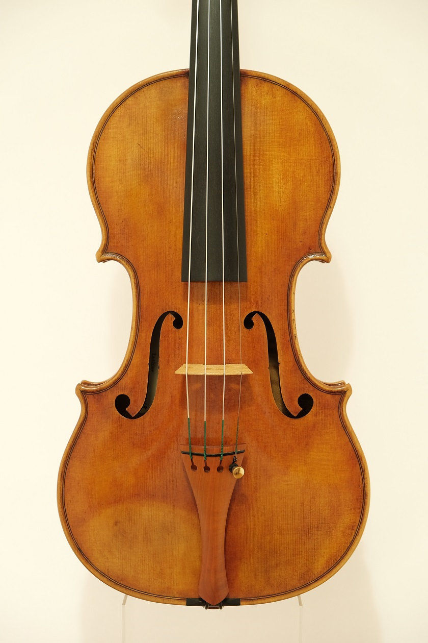 violin front